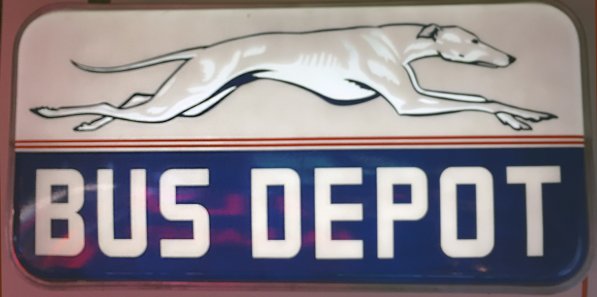 greyhound(edit)
