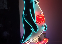 illluminated - low-res
